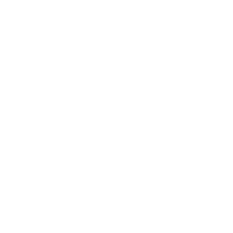 Laudor logo