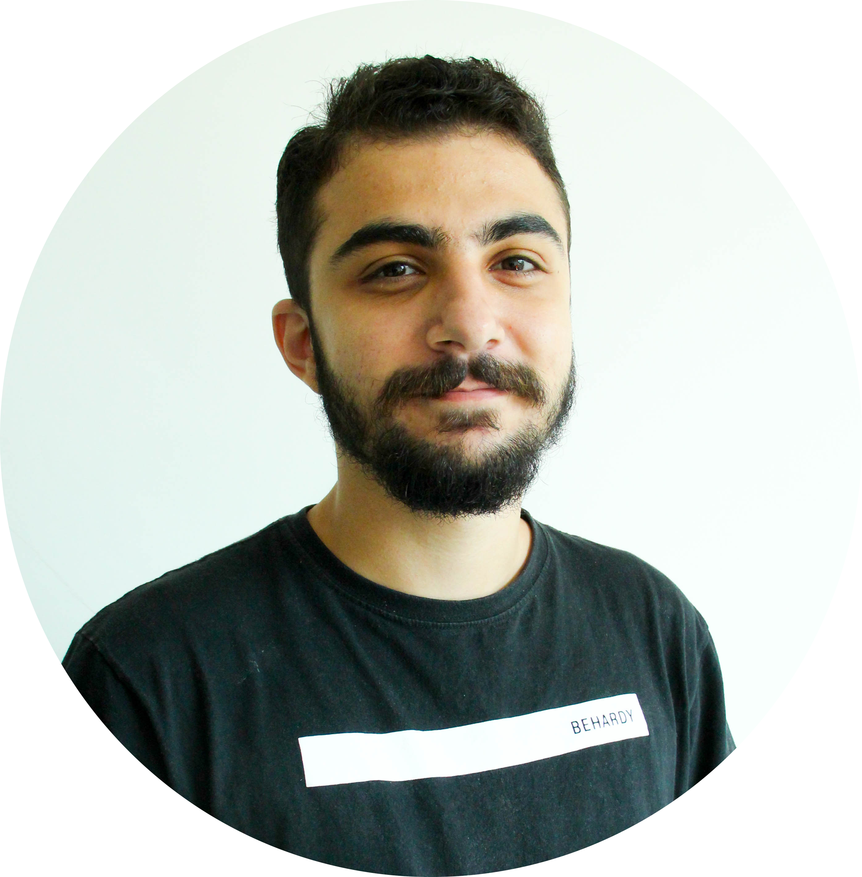 Michel Ziade - Backend Developer and Solution Architect